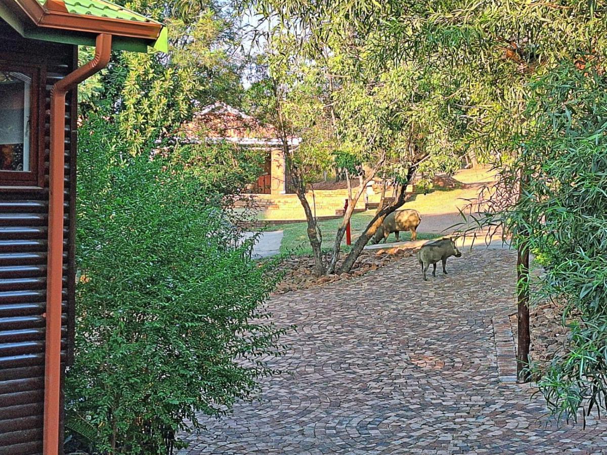 Loskop Serene Bush Cabin Winterkamp Exteriör bild